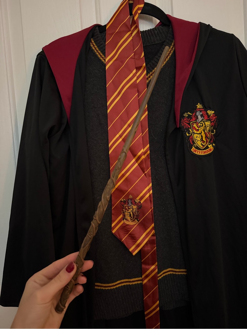 Halloween Costume : Harry Potter Gryffindor